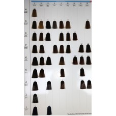 INDOLA Profession Permanent Caring Colour 60ml